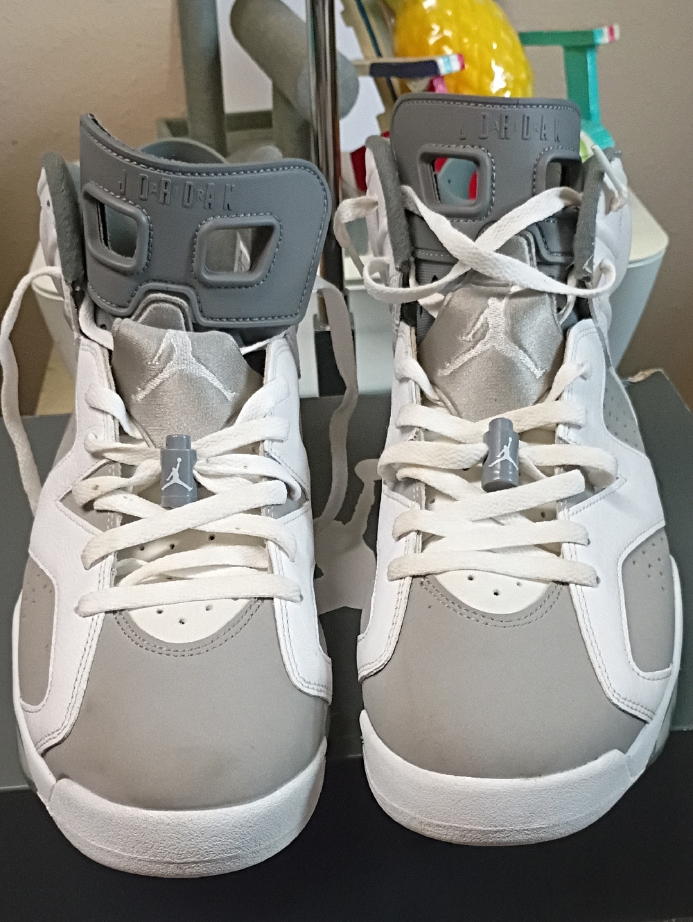 Jordan Men's Air Jordan 6 "Cool Grey"